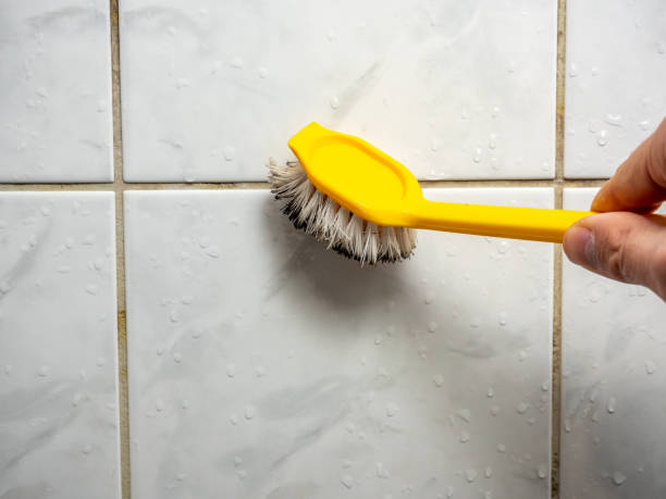 Best Professional Mold Removal  in Meron Park, CA