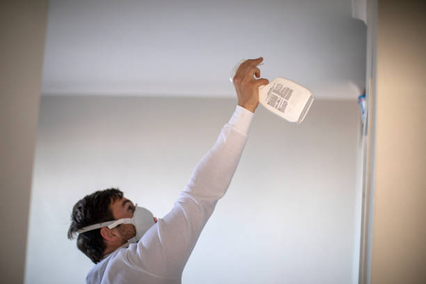 Best Same-Day Mold Removal  in Meron Park, CA