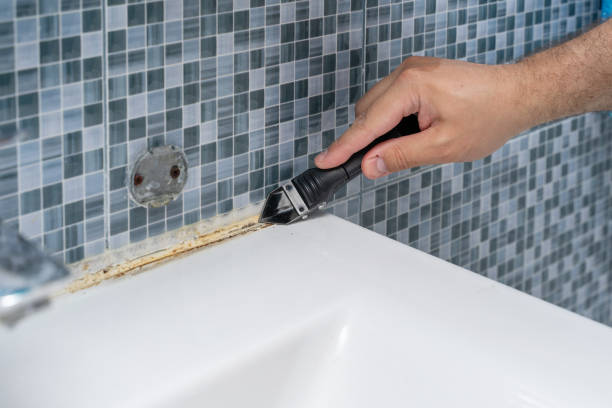 Trusted Cameron Park, CA Mold Removal Experts