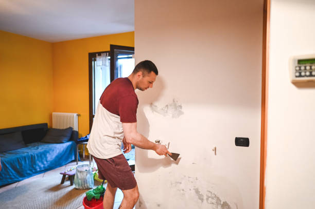 Best Toxic Mold Removal  in Meron Park, CA