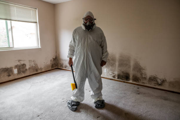 Best Commercial Mold Removal  in Meron Park, CA